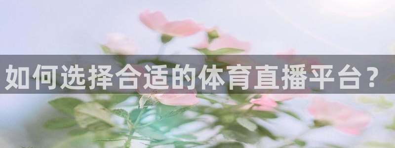松鼠直播体育：如何选择合适的体育直播平台？