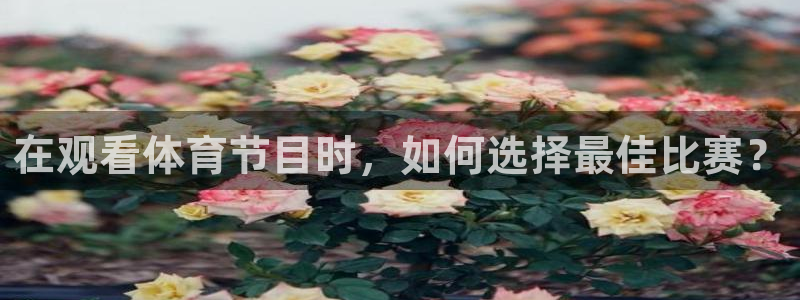 松鼠直播tv：在观看体育节目时，如何选择最佳比赛？