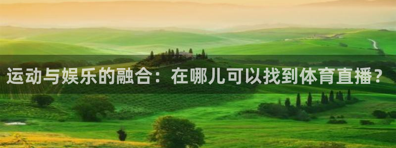 松鼠直播tv：运动与娱乐的融合：在哪儿可以找到体育直播？