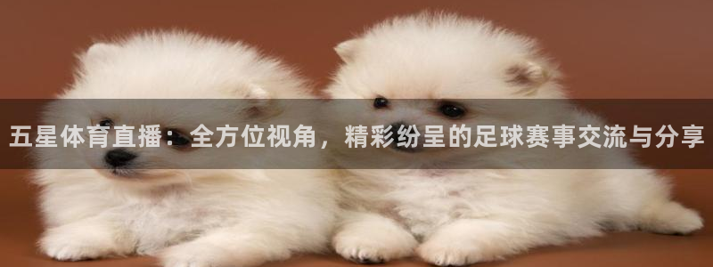松鼠体育在线直播：五星体育直播：全方位视角，精彩纷呈的足球赛事交流与分享