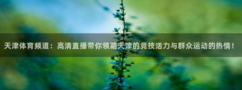 松鼠直播nba：天津体育频道：高清直播带你领略天津的竞技活力与群众运动的热情！