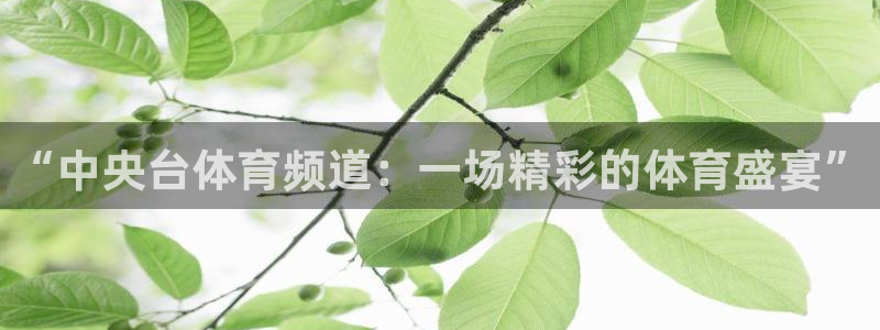 松鼠直播：“中央台体育频道：一场精彩的体育盛宴”